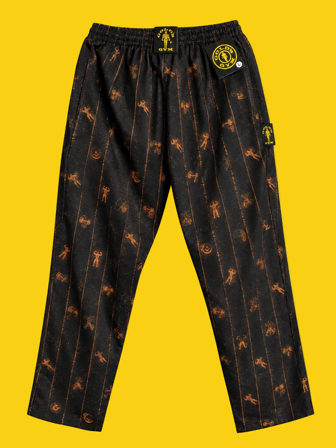 Zolo GOLD’S GYM